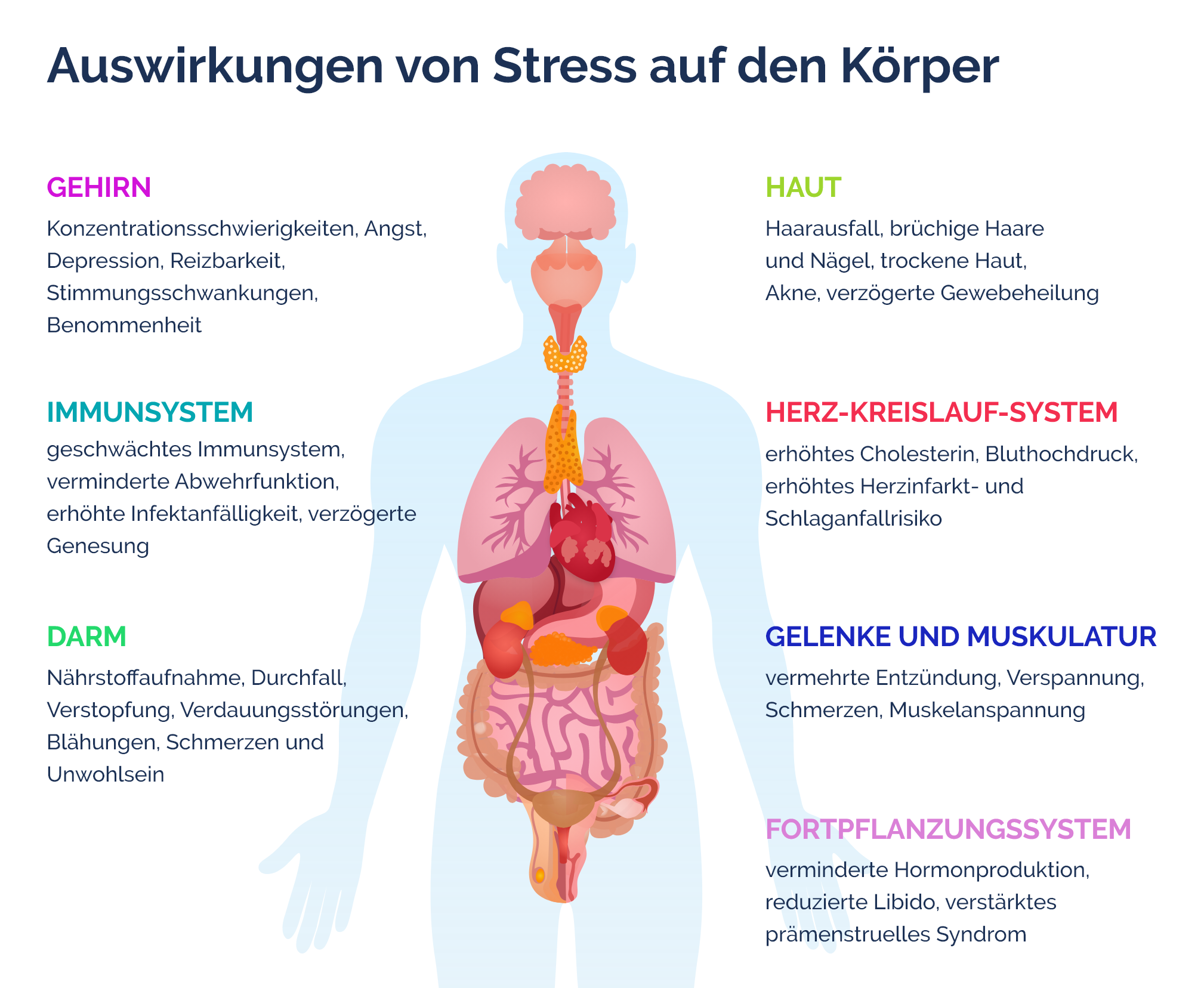 Stress wirkt sich vielfältig auf den Körper aus